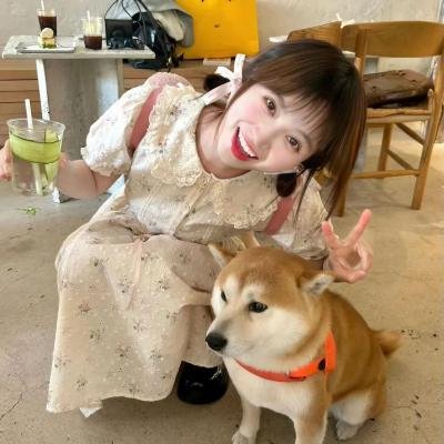 动画亲子