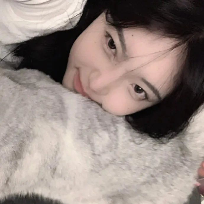 飞侠哥顿的终极冒险